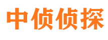 大渡口找人公司